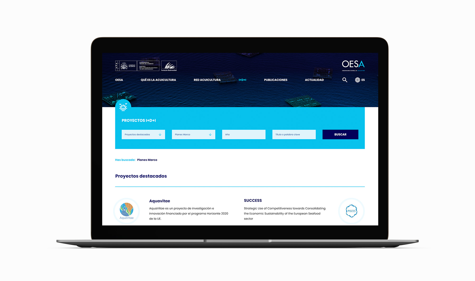 oesa-4
